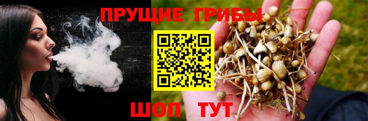 Галлюциногенные грибы прущие грибы  Вход с VPN  Медногорск 